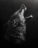 Kullanıcı avatarı