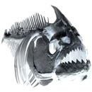 Kullanıcı avatarı